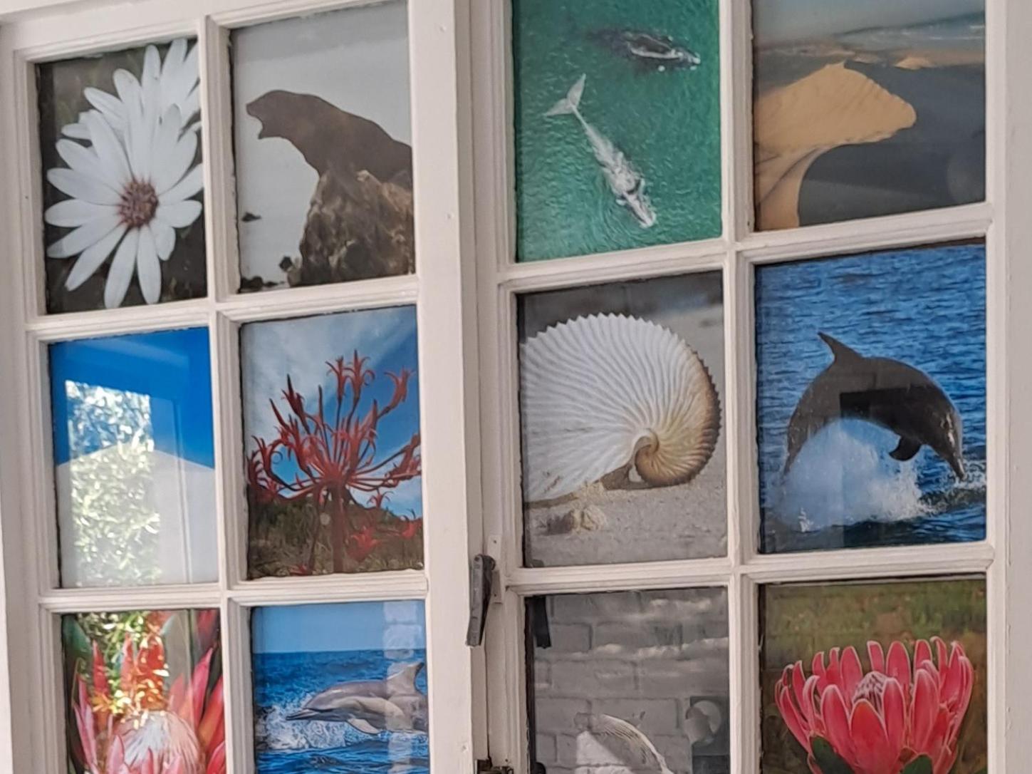 Amazing Grace B&B Gansbaai Quarto foto